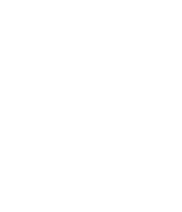 Realtor